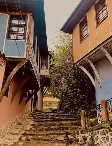 Villa Slona, Heritage In Old Town