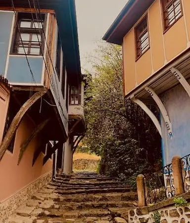 Willa Slona, Heritage In Old Town