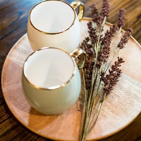 Villa Slona, Heritage In Old Town *