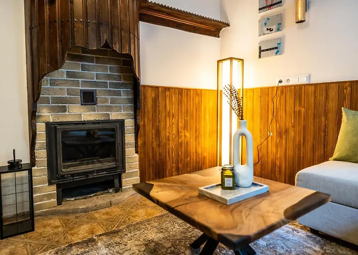 Slona, Heritage In Old Town * 普罗夫迪夫